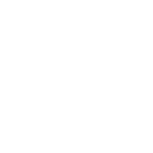 valise1